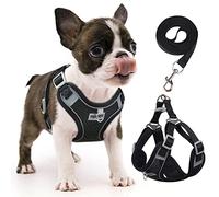 Rennaio Arnés Sin Tirones para Perro, Ajustable para Cachorros Con 2 Clips de Correa, Reflectante y Juego de Correa para Perros Pequeños y Medianos (Negro, S)