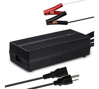 Renogy Cargador de batería portátil de 12 V 20 A CA a CC, enchufar y usar con clips de cocodrilo de 12 AWG para baterías de fosfato de hierro y litio