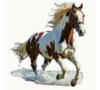 Renqidian Kit de Pintura de Diamantes 5D Caballo DIY Adultos y Niños Diamantes Cristal Artes Bordado Decoración de La Pared Del Hogar 50x50 cm