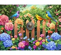Renqidian Kit de Punto de Cruz Para Estampado Valla de jardín y pájaro 11CT Quilates Adultos Kits de Bordado Preimpreso,Decoración Del Hogar 40x50 cm