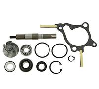 Reparación Bomba de agua - Honda Piaggio Peugeot 250 ccm