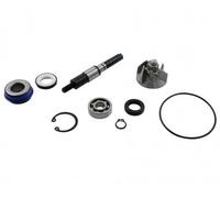 Reparación Bomba de agua - Honda Scoopy Sh 150 4T (de 2004)