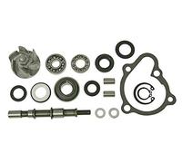 Reparación Bomba de agua - Kymco Mxu 250 S