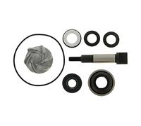 Reparación Bomba de Agua para Honda SH300I