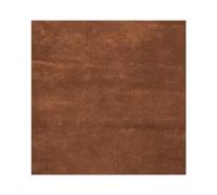 Reparación de Talón Zapato Parche autoadhesivo para el agujero del talón para la parte trasera de zapatos deportivos, zapatos de cuero y tacones altos, suave y duradero, 5,9x5,9 pulgadas (Color : Bro