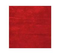 Reparación de Talón Zapato Parche autoadhesivo para el agujero del talón para la parte trasera de zapatos deportivos, zapatos de cuero y tacones altos, suave y duradero, 5,9x5,9 pulgadas (Color : Red