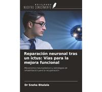 Reparación neuronal tras un ictus: Vías para la mejora funcional: Mecanismos neuroplásticos y estrategias de rehabilitación para la recuperación
