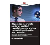 Réparation neuronale après un accident vasculaire cérébral : Les voies de l'amélioration fonctionnelle: Mécanismes neuroplastiques et stratégies de réadaptation pour la récupération