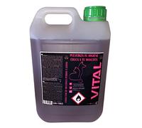 Repelente Profesional para Perros y Gatos 5L, Anti Orines de Alta Eficacia para Exterior e Interior, Uso Intensivo en Comunidades, Jardines y Empresas de Limpieza, Vital