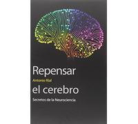 Repensar el cerebro: Secretos de la Nuerociencia: 26 (Sin Fronteras)