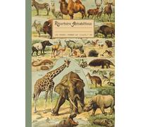 Répertoire Alphabétique: Grand format A4: 21x29,7 cm avec repères pour chaque lettre, 160 pages lignées. Jolie couverture Rétro & Vintage de Faune Sauvage, idée cadeau thème animal et mammifères.