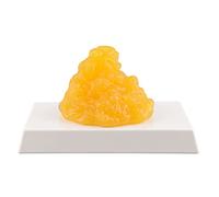 Réplica de grasa corporal humana 1 libra con base de visualización, mantener en forma y pérdida de peso motivación y recordatorio, modelo de demostración de tejido graso humano para nutricionista