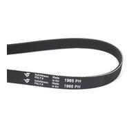 REPORSHOP - Correa Secadora Whirlpool Indesit 1965 H7 C00297210 482000023382