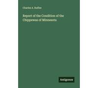 Report of the Condition of the Chippewas of Minnesota