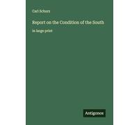 Report on the Condition of the South: in large print