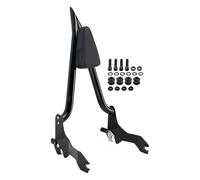 Reposabrazos Pasajero de Motocicleta Compatible con Low Rider FXLR FXLRS FXLRST FXRST Sport Glide FLSB 2018+ Topteng Respaldo de Barra Sissy para pasajeros Barra de Agarre Trasera del Pasajero