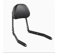Reposabrazos Trasero Modificado para Asiento Trasero De Motocicleta, Portaequipajes para Jinjila 350NEO/ACE 350neo/ace