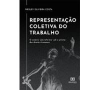Representação Coletiva Do Trabalho (ebook)