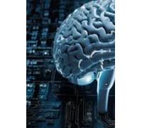 Reprograme Seu Cérebro Para O Sucesso (ebook)