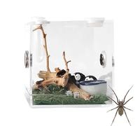 Reptile Breeding Enclosure - Jumping Spider Habitat Box, Transparent Acrylic Terrarium | Spider Breeding Box with Feeding Hole, Ideal for Tarantulas, Centipedes, and Small Reptiles
