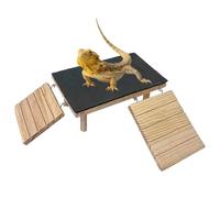 Reptile Dock For Basking | Easy Install Flat with Wooden Ramp