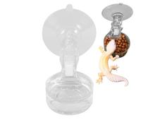 Reptile Feeders - 1.57x1.57in Small Reptile Waterers | Reptiles Feeder | Suction Cup Reptiles Food Dish | Habitat Decoration | Pet Water Container Tray for Lizards, Spider, Tree Frogs, Chameleons