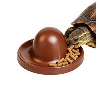 Reptile Food Dish, Anti-Tipping Foods Container, 4.72x0.91 Inch Bearded Dragon Feeder, Care Tool with Terrarium Style, Compact Supply with Cage Use, Home Accessories for Keepers Breeders Animal Lovers