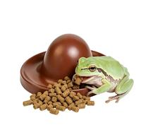 Reptile Food Dish - Anti Tipping Lizard Bowl, Bearded Dragon Feeding Basin, Low Profile Stable Base Design, Prevents Accidental Spills and Contains Live Crawlers, Enclosure Accessory for Terrarium