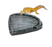 Reptile Food Dish - Gecko Water Bowl Feeding, Plate Non Tip Design for Leopard Gecko Bearded Dragon Amphibian Terrarium Enclosure Habitat for Keepers Breeders Pet Parents Animal Lovers Home
