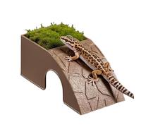 Reptile Food Dish - Terrarium Feeding Bowl, Habitat Shelter | 2 In 1 Decorative Water Feeder Ornament, Resin Feeding Container Suitable Bearded Dragon Gecko Frog Spider Shrimp Turtle Chameleon Li