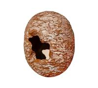 Reptile Hide, Egg Shape Gecko Hide, 3.15x4.33 Inches Decorative Terrarium Shelter, Resin Dinosaur, Pet Supplies for Garden, Home, Bedroom, Corner Climbing, Burrowing and Breeding Use