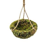 Reptile Lounge Hammock, Lizard Tank Habitat, 5.91x5.91x3.15in Moisture Retention Rest Net with Breathable Mesh, Sturdy Fiber Climbing Platforms, Natural Jungle Style Design, Gecko Dragon Tank Use