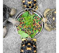 Reptile Rock Food y Platos de Alimentación de Platos para Torto Tortuga Sus Mascotas. F Tazón Alimentación Torto Tazón Reptiles (75x173cm/29.5x68.1in)