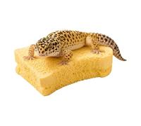 Reptile Shedding Board - Rough Texture Rock | Gecko Molting Tool Accessory