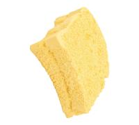 Reptile Shedding Board - Rough Texture Toast Bread Shape Tool, Realistic Molting Simulation Block, 6x6.5cm Miniature Bark Facsimile + 100g Sturdy Resin Base, Scratch Resistant Fake Rock - for Snakes &