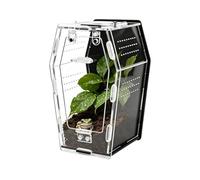 Reptile Terrarium - 18 * 10.4 * 10cm Acrylic Tank | Breathable Pet Habitat