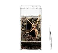 Reptile Terrarium - Escape-Proof Transparent Habitat, 4x4x8 Inches Breathable Landscape Enclosure, Jumping Spider Breeding Tank, Climbing Reptile Cage for Observation and Feeding