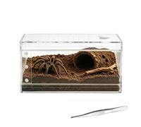 Reptile Terrarium - Glass Habitat Enclosure for Lizard Snake | Ventilated Mesh Top with Sliding Door Design, Durable Clear Glass Build, Secure Lock System, Easy Clean Pet Display Tank