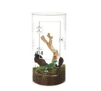 Reptiles de vidrio - Terrario de crecimiento Mini Reptil Tanque | Caja de alimentación de acrílico, acrílico transparente para insectos hábitat terrario, 20 × 12 × 12 cm para rezar mantis, arañas