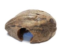 Reptiles Planet Coco CASA - Escondite Natural de Coco para pequeños Animales