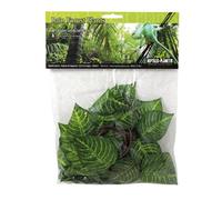 Reptiles-Planet Crucero Jungle Vine, 2.6m
