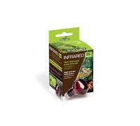 Reptiles Planet - Infrared - Bombilla Calefactora Infrarroja - 25 W