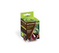 Reptiles Planet - Infrared - Bombilla Calefactora Infrarroja - 50 W