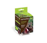 Reptiles Planet - Infrared - Bombilla Calefactora Infrarroja - 75 W