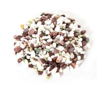 Reptiles Planet Pequeño guijarros de río Colores Naturales para Tortuga acuática Turtle Stones 4,5 kg, Gris - Blanco