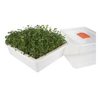 Reptiles Planet - Repti Serre - Mini Invernadero de Germinación para Alimentar Las Tortugas Terrestres y Reptiles Herbívoros
