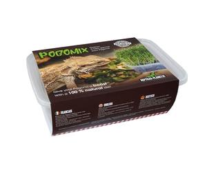 Reptiles Planet Sprout Seeds for Pogona Complete Kit