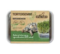 Reptiles-Planet - Tortoisemix - Mezcla de Semillas para Germinar - Alimento para Tortugas Terrestres