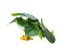 Reptiles Planta Ocultar Hierba Hojas Flexibles Terrario Jungla Hábito Para Lagartijas Serpiente Decorativa Falsa Planta Artificial Decoración