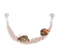 Reptiles Races Juguetes - Ermitaño Tanque Terrario Accesorios, Suministros Ranas de árbol | Tintín geckos lagartos serpientes, diversión segura jugando concha natural, juguetes decorativos